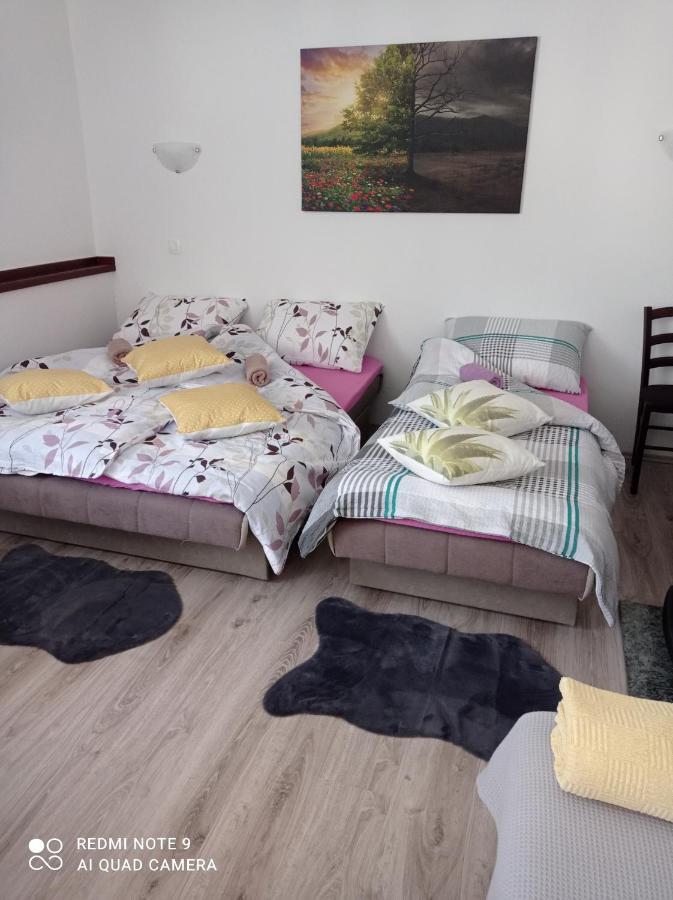 Studio Apartman Sonja Otočac Exteriér fotografie